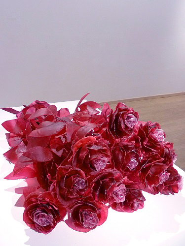 A Dozen Roses by Keith Edmier